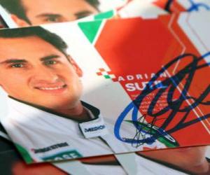пазл Адриан Сутиль - Force India - Гран-при Венгрии 2010